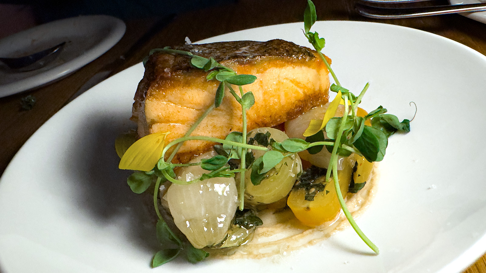 kidsister-salmon.jpg